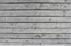 Photo Textures of Wood Planks